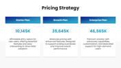 66555-go-to-market-strategy-presentation-examples-08