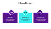 66556-go-to-market-strategy-presentation-08