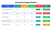 66595-executive-project-status-01