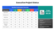66595-executive-project-status-02