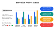 66595-executive-project-status-03