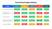 66595-executive-project-status-05