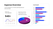 66654-one-page-financial-summary-04