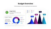 66654-one-page-financial-summary-07