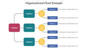 A hierarchical chart with teal, red, and blue boxes connected by black lines, each representing a team structure.
