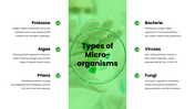 702130-introduction-to-microbiology-ppt-presentation-04