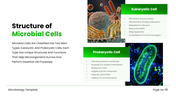 702130-introduction-to-microbiology-ppt-presentation-05