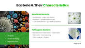 702130-introduction-to-microbiology-ppt-presentation-06