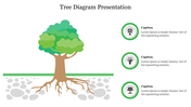 Illustration of a tree with brown roots and soil particles, and three green circular icons with captions on the right.