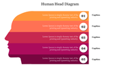 Gradient human head silhouette with five layered sections in orange and red shades, paired with numbered captions.