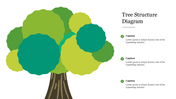 Tree structure diagram with a large stylized tree on the left and three captions on the right for text descriptions.