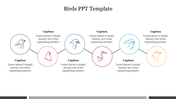 Bird themed template with five circular icons, each featuring a different bird illustration, connected by lines. 