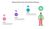 Human life cycle diagram with three numbered steps in pink, purple, and blue, leading to an elderly man with a cane.