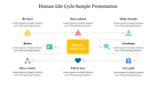 Human life cycle diagram slide with icons from being born to retiring with placeholder text on a white backdrop.
