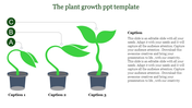 PowerPoint template for plant growth, showing stages from a small seedling to a mature plant with captions for each stage.