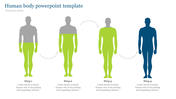 Human body slide with four human silhouettes, colored in gray, green, and blue, labeled with step numbers and text.