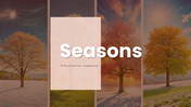 Four seasonal photos blooming trees in spring, rainy day, tropical beach, and snow-covered trees in winter with a text.