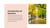 75862-seasons-ppt-presentation-02
