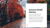 75862-seasons-ppt-presentation-06