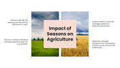 75862-seasons-ppt-presentation-09