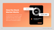 76481-stock-market-ppt-04