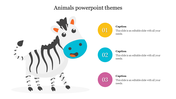 Zebra illustration with a bright blue mouth is paired with three circular, numbered text bubbles in yellow, blue, and purple.