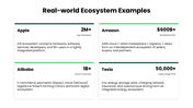 78407-business-ecosystem-slide-06