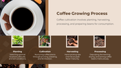 Coffee Growing Process slide featuring large cup image and a four-step visual timeline of planting to processing with photos.