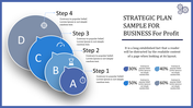 Strategic plan slide with steps outlined in circular segments, representing stages in a business growth strategy.
