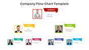 Company hierarchy flowchart with color coded sections showing the CEO, VP of Production, and various employees in a layout.