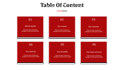 Grid layout with six red blocks, each labeled by section number and title, with black footers and placeholder text.