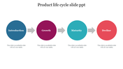 Slide showing a flow of product life cycle stages from Introduction to Decline with circular icons with placeholder text.