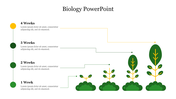 Biological plant growth stages over four weeks, illustrated with green and yellow markers and plants increasing in size.