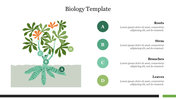 Biology template slide featuring an illustrated plant diagram labeled with roots, stem, branches, and leaves.