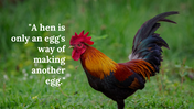 86137-chicken-background-powerpoint-01