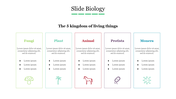 Five-part layout depicting the kingdoms of fungi, plants, animals, protista, and monera with labeled columns and icons.