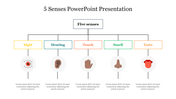 Diagram illustrating the five senses sight, hearing, touch, smell, and taste with corresponding icons.