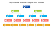 Organizational structure chart featuring a CEO leading to vice presidents, directors,managers, and associates.