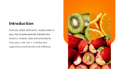 87803-fruit-presentation-02