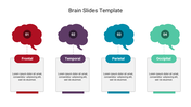 PowerPoint template displaying four colorful brain regions with labels for Frontal, Temporal, Parietal, and Occipital areas.