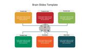 PowerPoint slide illustrating brain regions such as the Cerebellum and Brain Stem, with text boxes explaining each section.