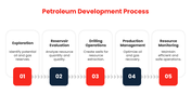 89474-petroleum-engineering-ppt-04