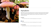 Close-up of red and white mushrooms growing on forest soil, alongside a text section about saprophytes.