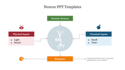 Visual template for a neuron presentation, illustrating the flow from physical and chemical inputs to a sensory response.