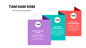 slideegg-13466-tam-sam-som-template-02