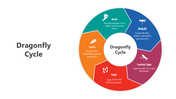slideegg-501657-dragonfly-cycle-03