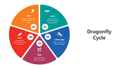 slideegg-501657-dragonfly-cycle-04