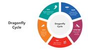 slideegg-501657-dragonfly-cycle-05