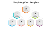 Simple org chart design in a triangle featuring person icons within multi colour hexagonal shapes.