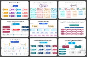Functional Organizational Structure